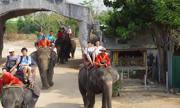2013年泰国游集体骑大象.jpg