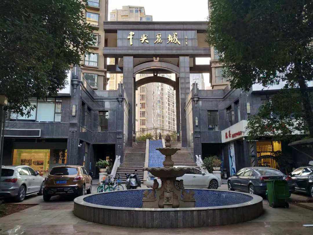 中央丽城